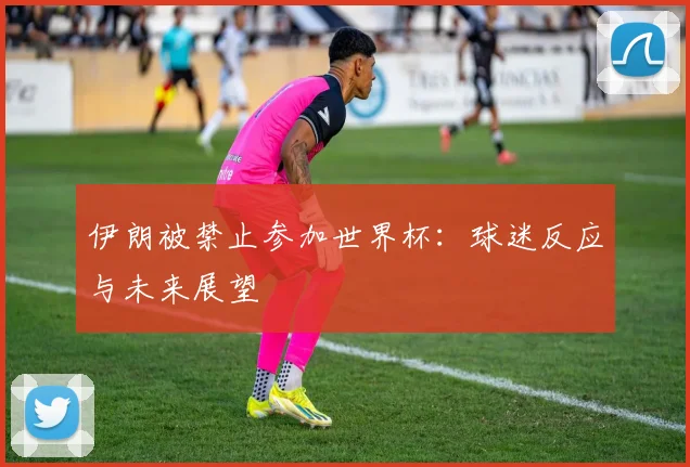 伊朗被禁止参加世界杯：球迷反应与未来展望