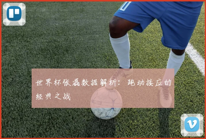 世界杯张磊数据解析：跑动接应的经典之战