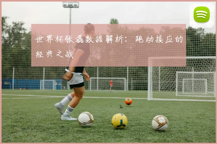 世界杯张磊数据解析:跑动接应的经典之战