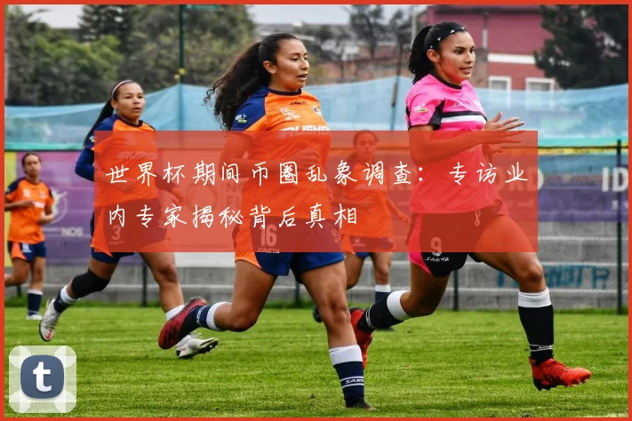 世界杯期间币圈乱象调查：专访业内专家揭秘背后真相
