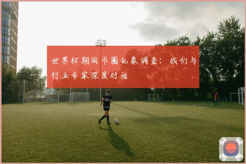 世界杯期间币圈乱象调查:我们与行业专家深度对话