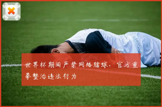 世界杯期间严禁网络赌球,官方重拳整治违法行为