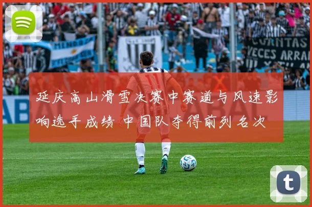 延庆高山滑雪决赛中赛道与风速影响选手成绩 中国队夺得前列名次