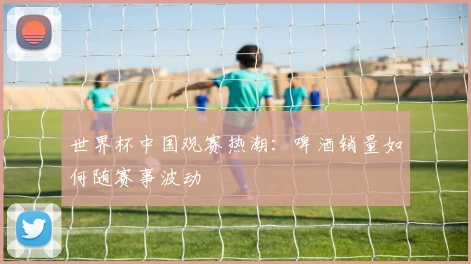 世界杯中国观赛热潮：啤酒销量如何随赛事波动