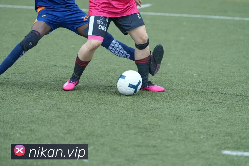 App Interface Preview